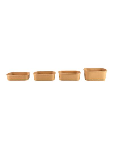 Disposable Paper Food Boxes  (PE/PLA)