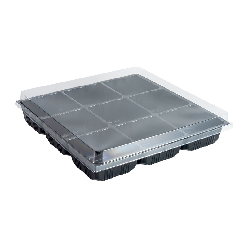 Disposable 9-grid Plastic Fruit Tray with Clear Lid